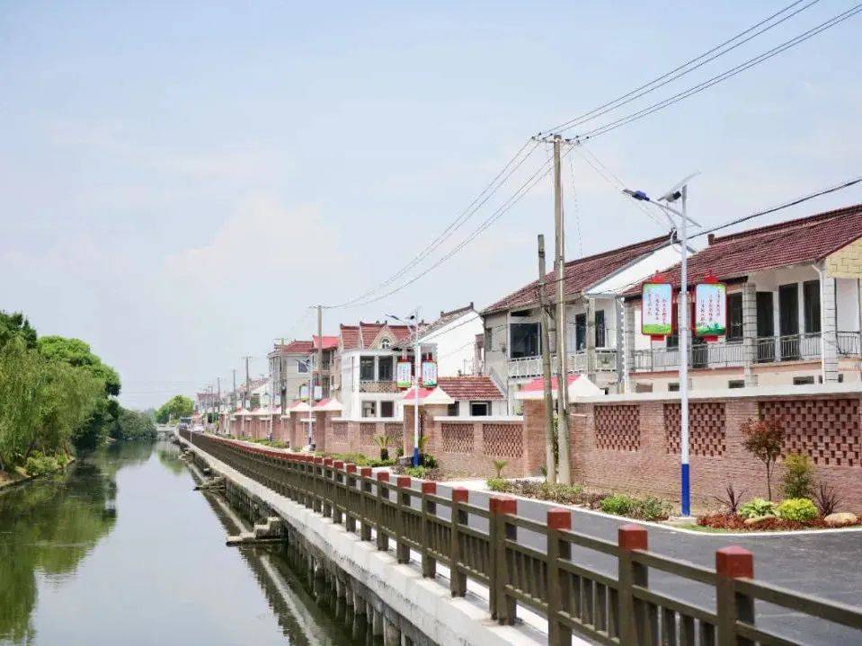 考察组一行先后前往老港镇大河村,惠南镇海沈村,泥城镇公平村,青浦区