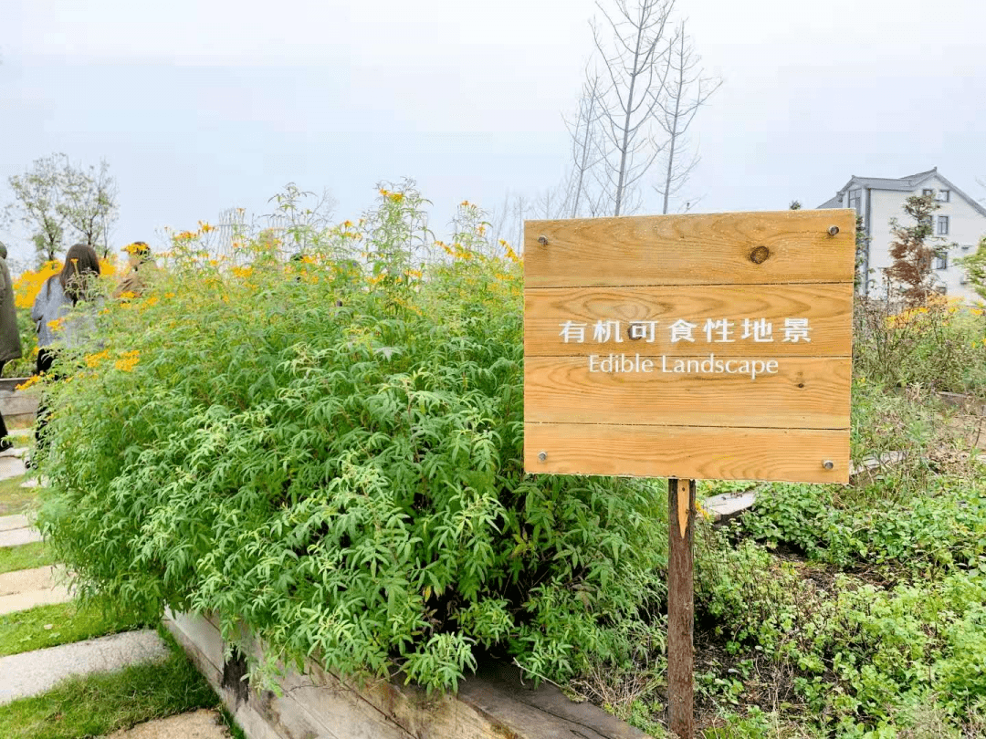 西塘良壤▕02艺术与自然结合的生态酒店