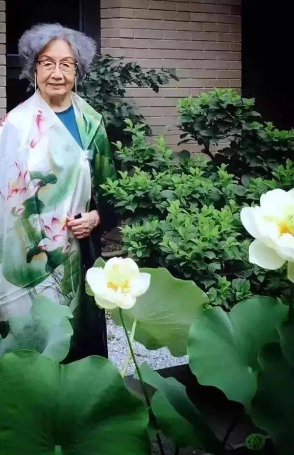 感动中国叶嘉莹先生的三本书青苑荐书