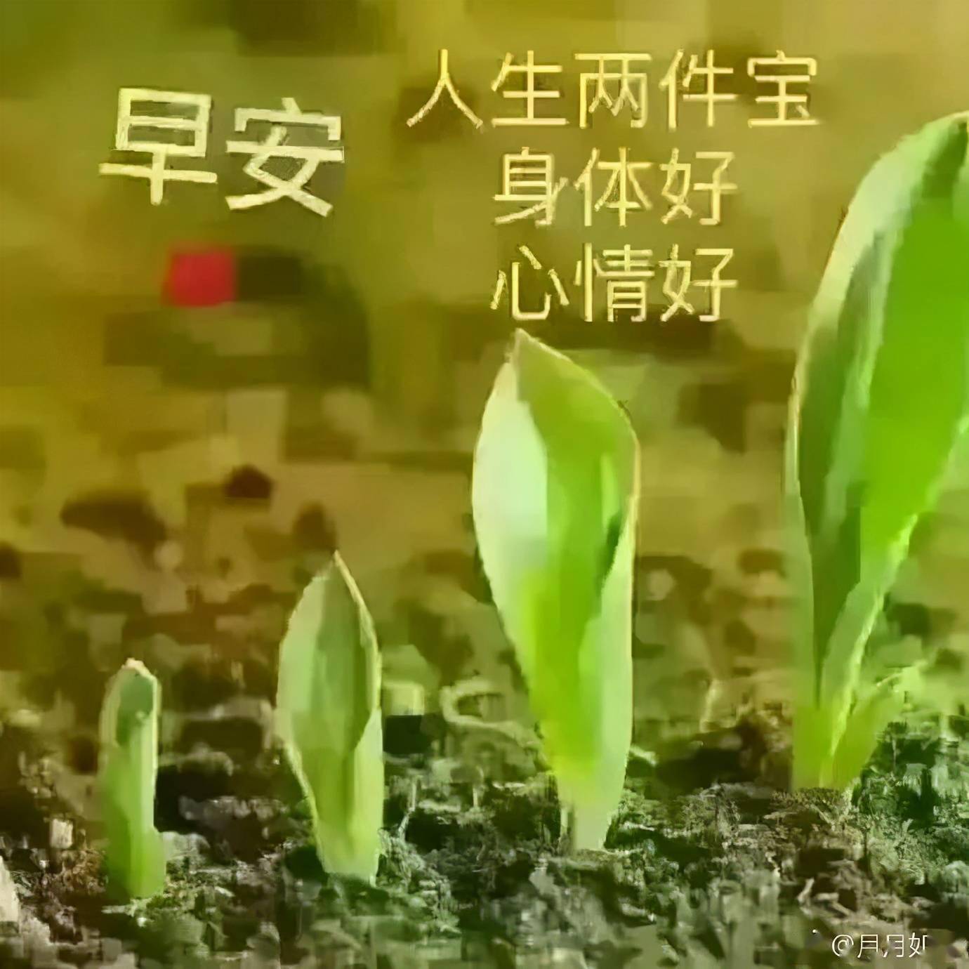 祝福你我,工作顺心,平平安安始于清晨,早安