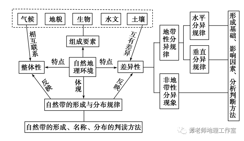 植被与地理环境的关系