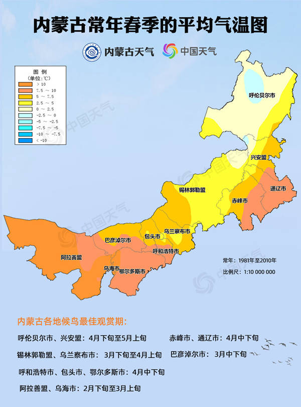 内蒙古候鸟迁徙地图来了!一文告诉你哪里是春季候鸟最佳观赏地