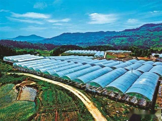 西湖镇骆来村崃山采摘体验生态园温室大棚