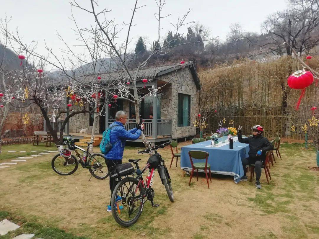 文旅项目带火乡村旅游焦作这个村庄老树发新芽