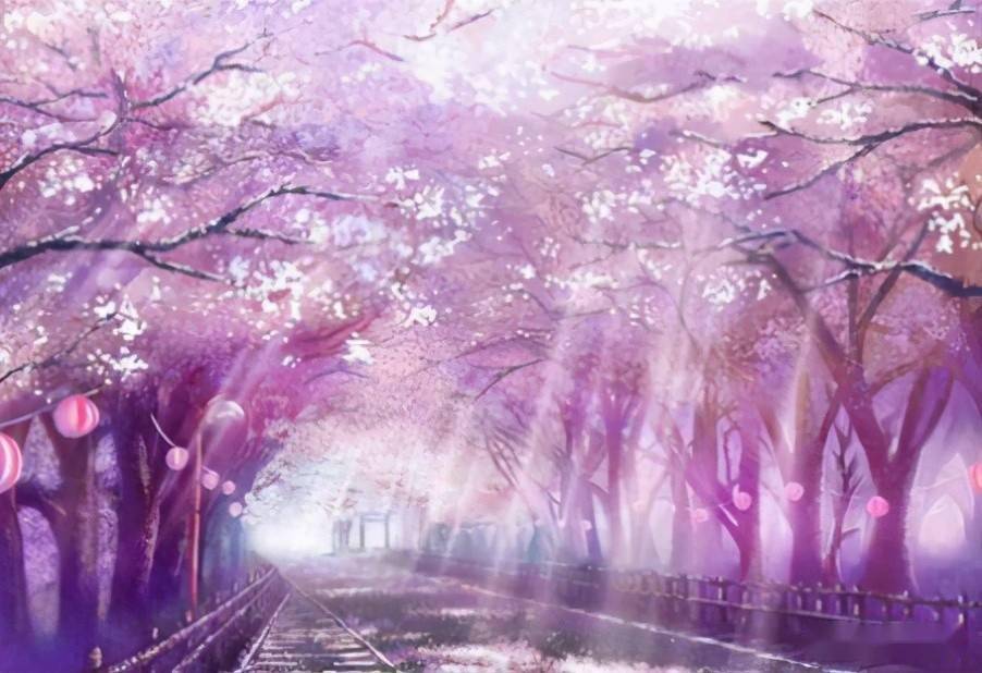 花开灿烂!那些盛开在动漫中的樱花,日本人为何总喜欢借其抒情?
