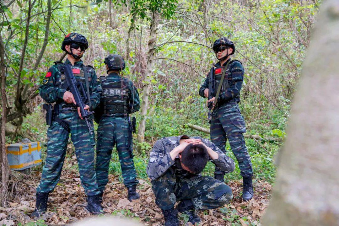 密林深处,山林地捕歼战斗打响!