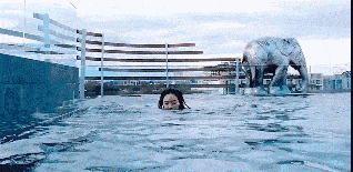 搞笑GIF: 这操作别人也是学不来
