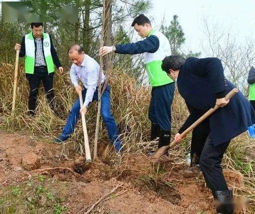 他们为"一门四忠烈"归园植树添绿!