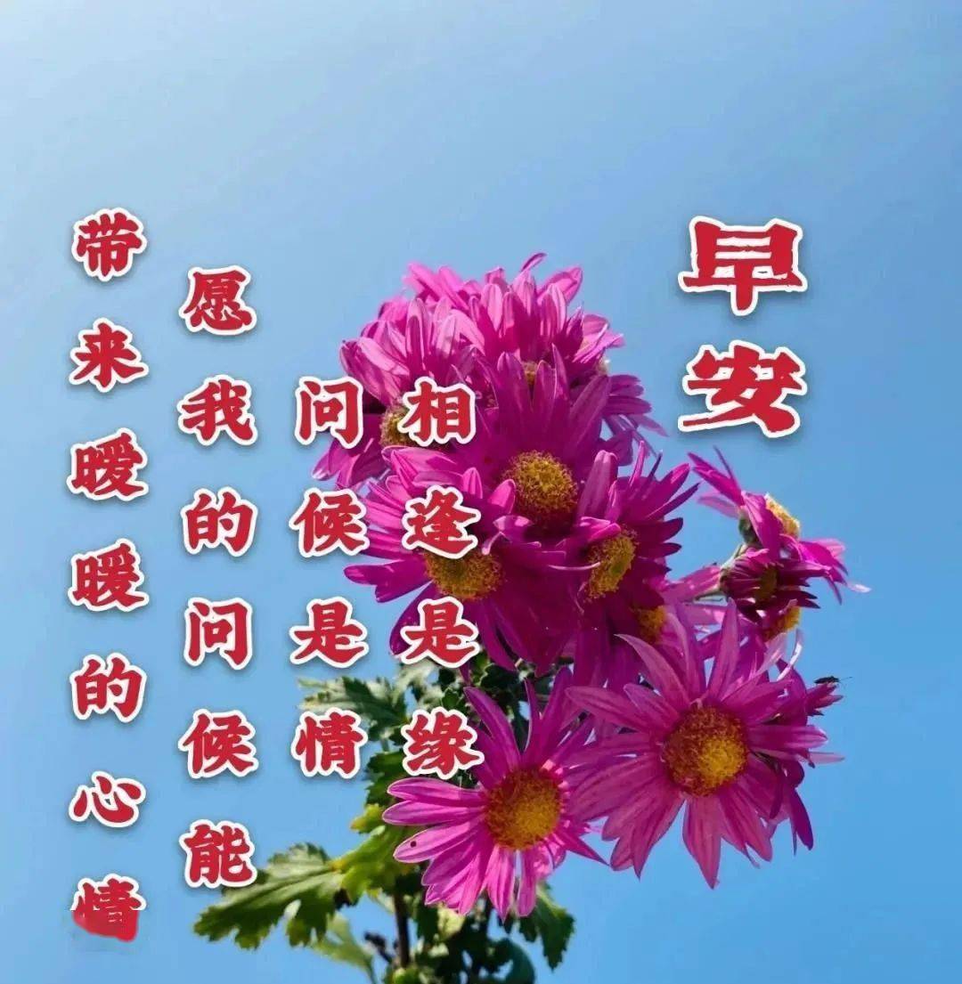 早上好免打字图片带祝福语温馨的春天大家早上好问候语图片带字精选