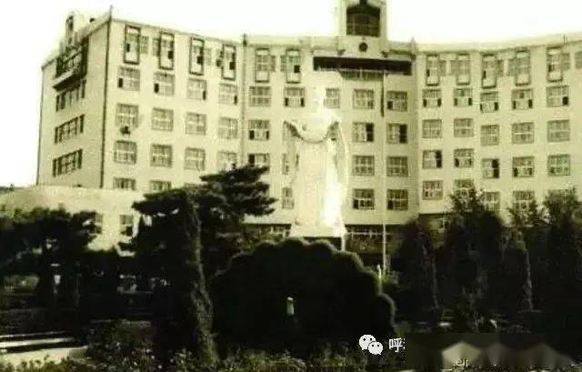 1985年呼和浩特市政府