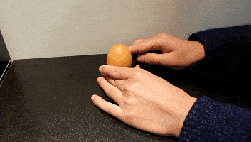 今日,春分!