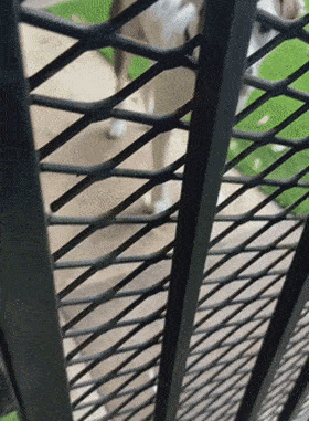 280_381竖版 竖屏gif 动态图 动图