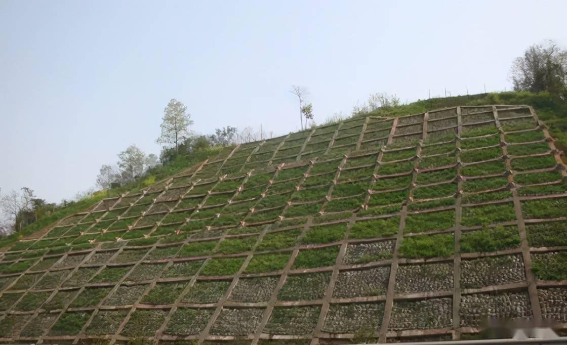 干货| 最全护坡景观设计13例详细介绍