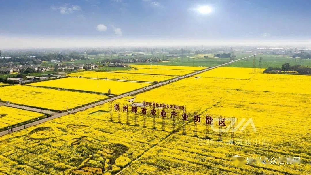 盘点成都市崇州都市农业产业功能区2020年十件大事