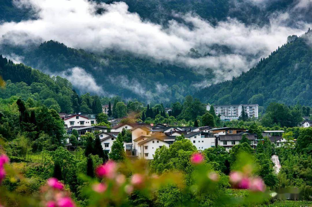 还有飞跃丛林乐园,高空滑索……还能感受到速度与激情的卡丁车在宝山