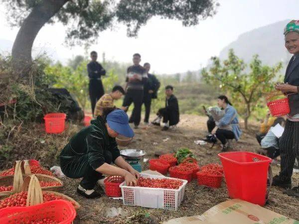 水城发耳镇人口_威尼斯水城图片(2)