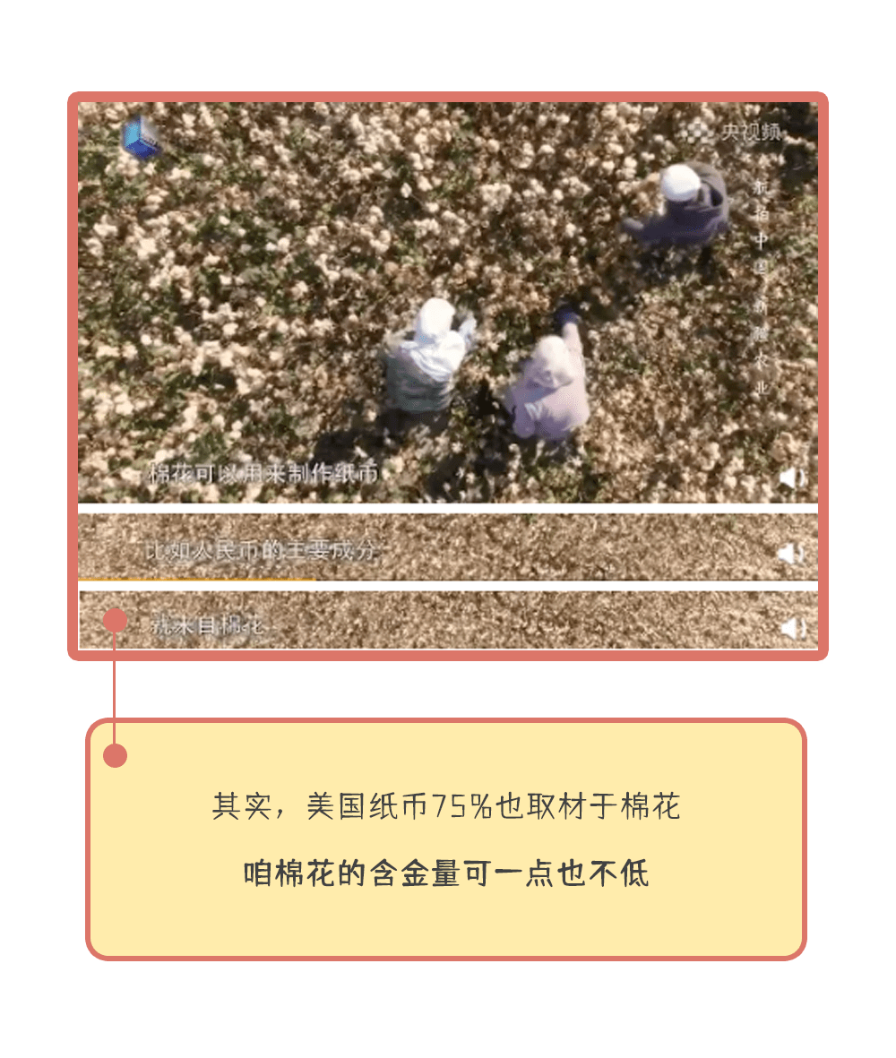 全国各地 就连咱们的人民币 主要成分都是 新疆石河子特产的一种棕色