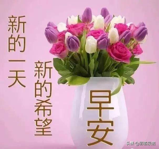 藏头小诗/早安,新周快乐