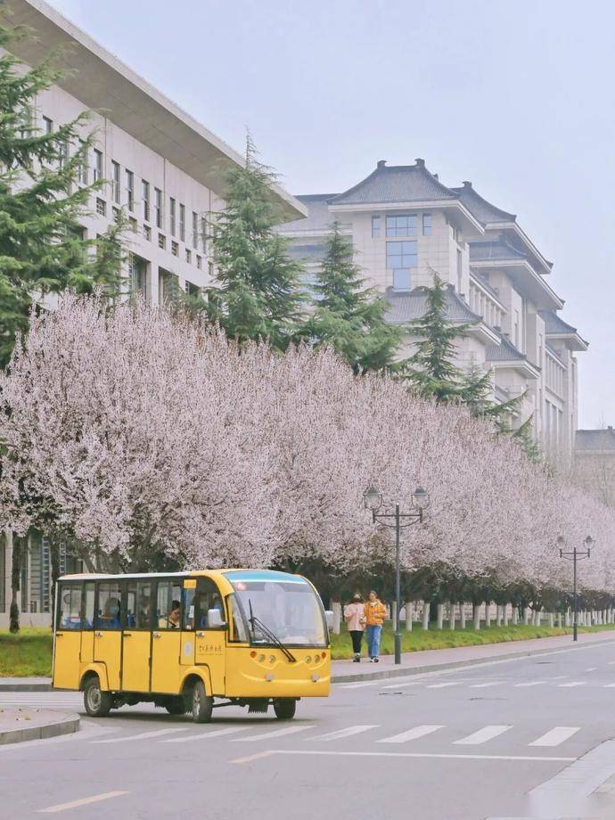 17春日限定·陕西师范大学丨何康 黄泓熙 张佳雯16粉白含情·清华大学