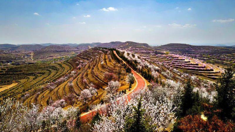 第十七届宁夏六盘山山花节暨第九届 "醉美花海·魅力彭阳" 文化旅游节