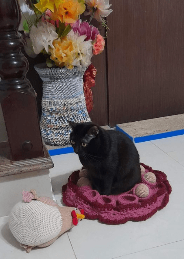 老妈编了一套金鸡下蛋,被猫发现后…鸡飞蛋打!