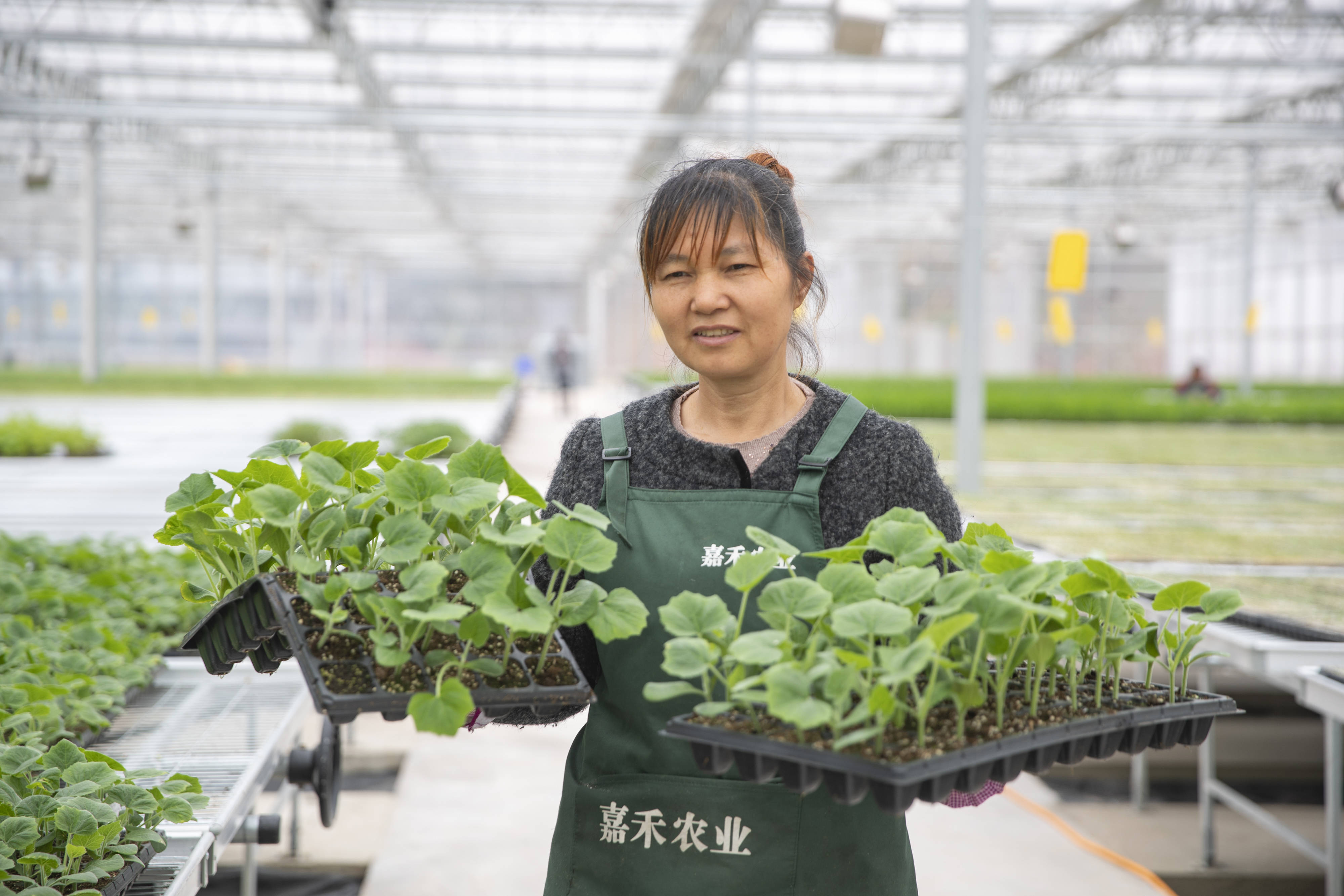 3月31日,重庆市渝北区兴隆镇一家育苗基地的工人在管理蔬菜秧苗.