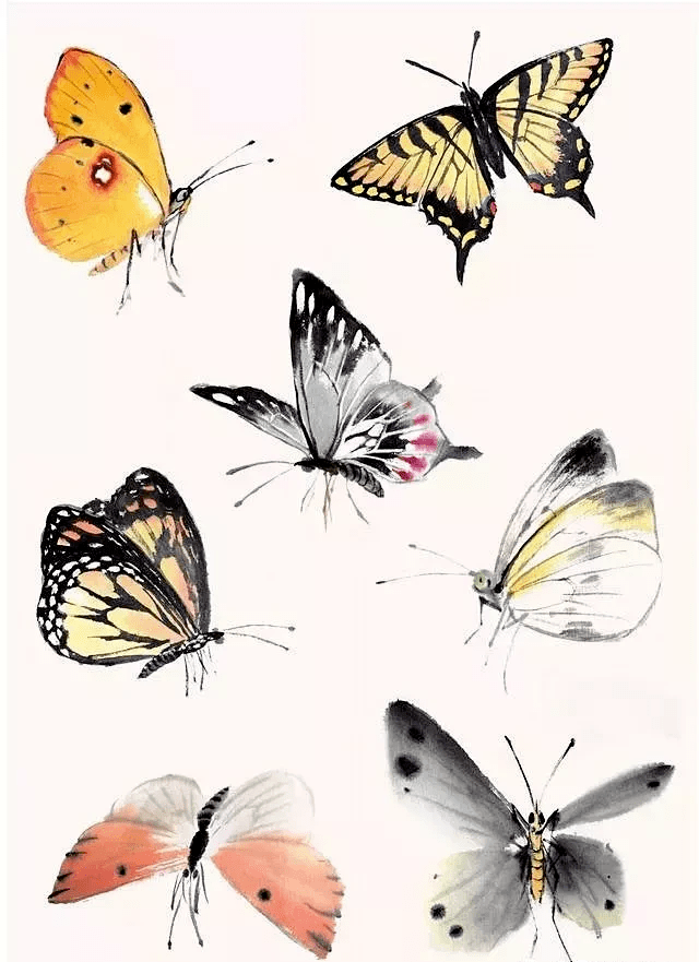 图文教程 | 一定不能错过的四种写意蝴蝶画法!