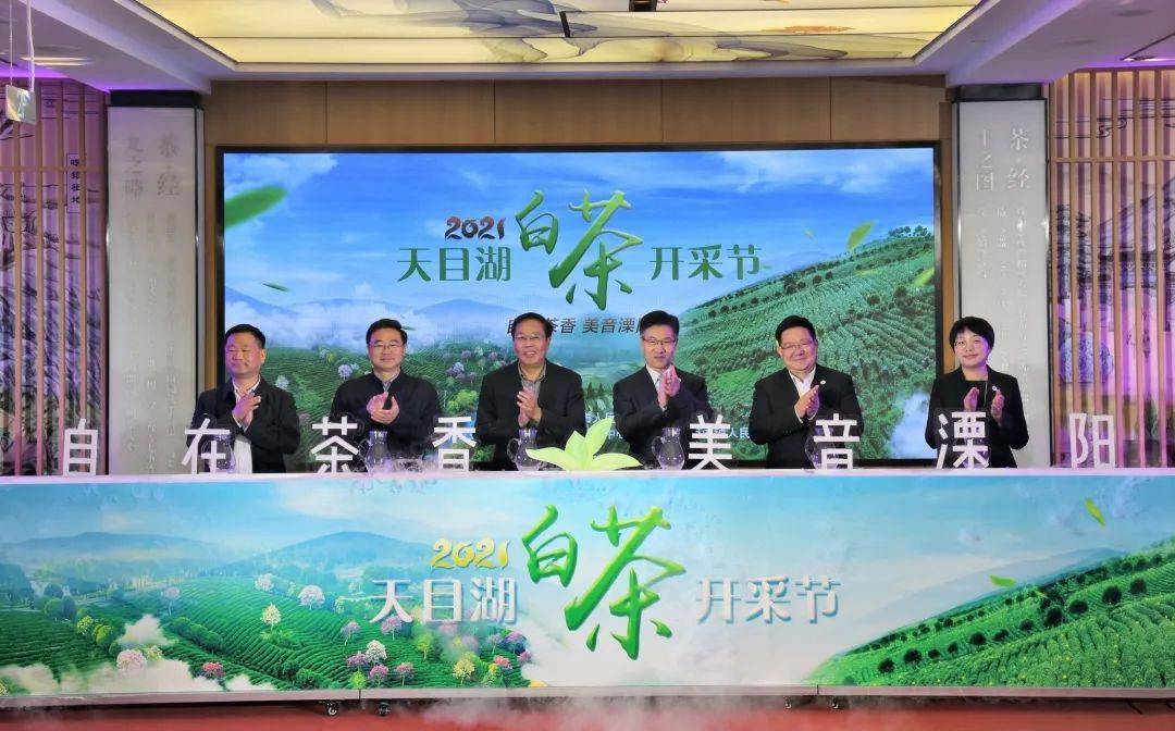 2021天目湖白茶开采节启幕