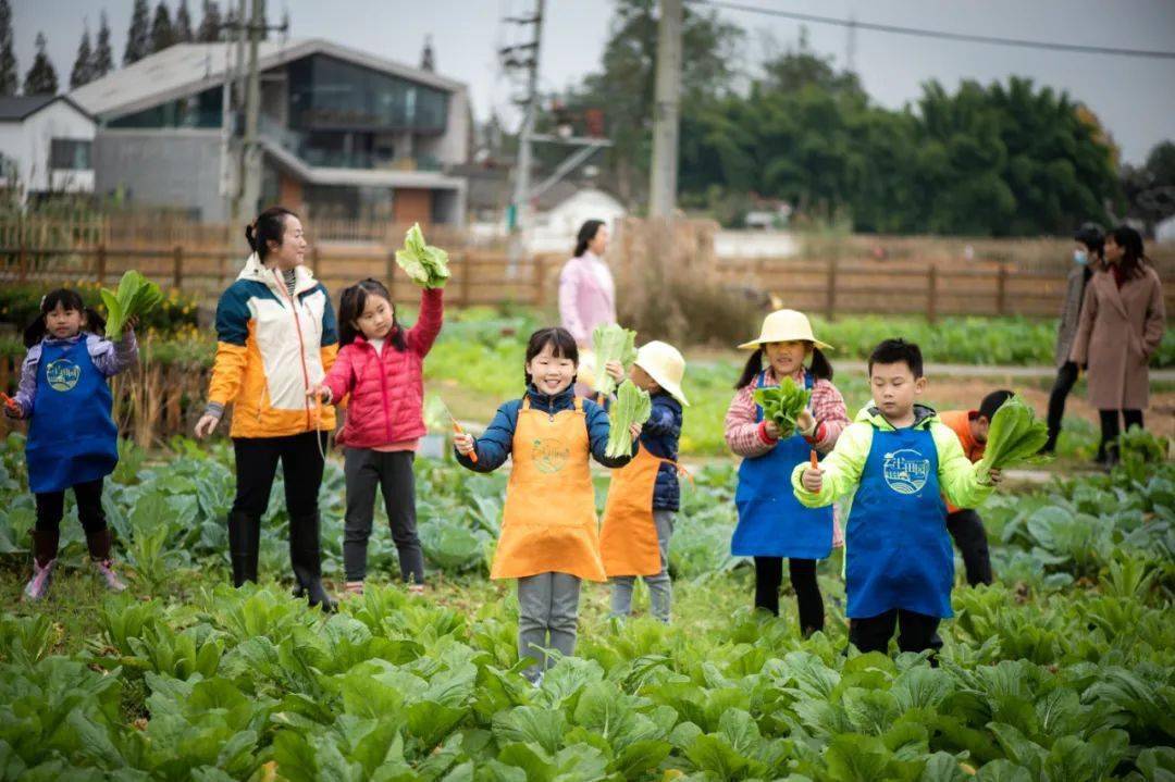 小众颜值高藏在安仁古镇的3大民宿美得不像话可带宠物