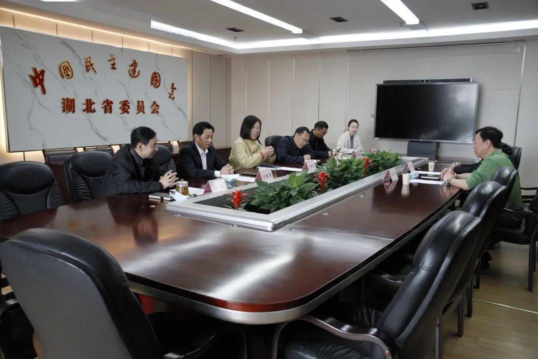 游峰应邀参加民建湖北省委乡村振兴和社会服务调研座谈会