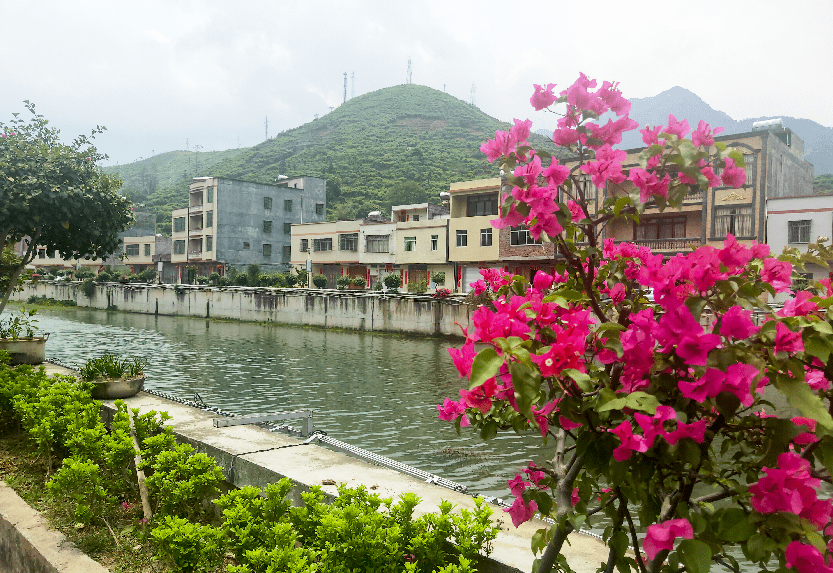 钱排双合村美丽乡村风貌带 在高州市分界镇东方村,学福村,许志晖了解