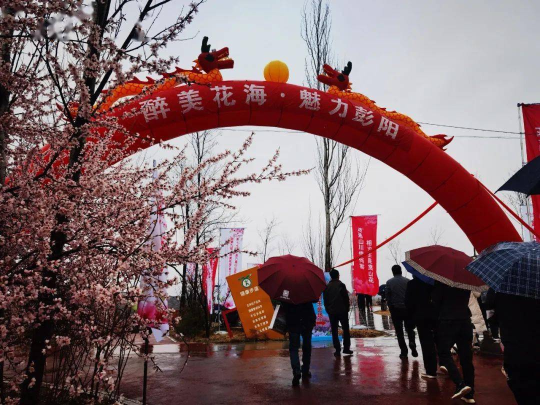 4月1日上午,由固原市人民政府,宁夏文化和旅游厅主办,彭阳县人民政府