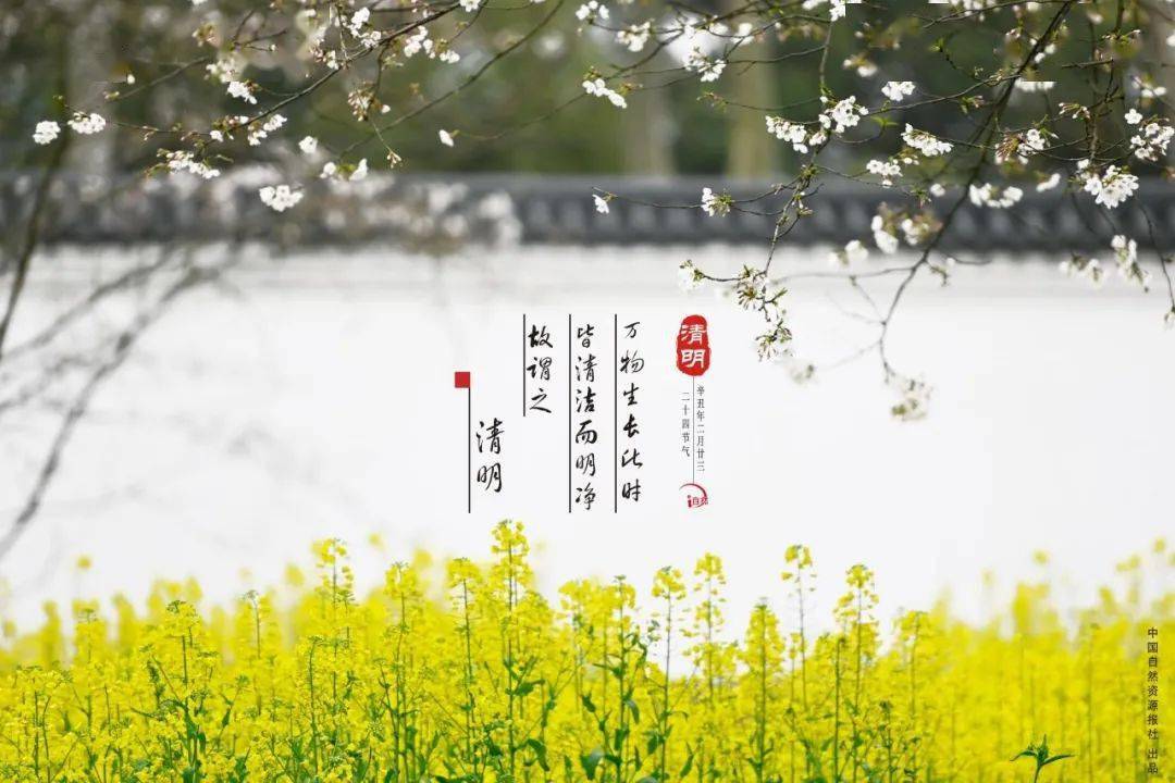 自拍自然 | 明日清明
