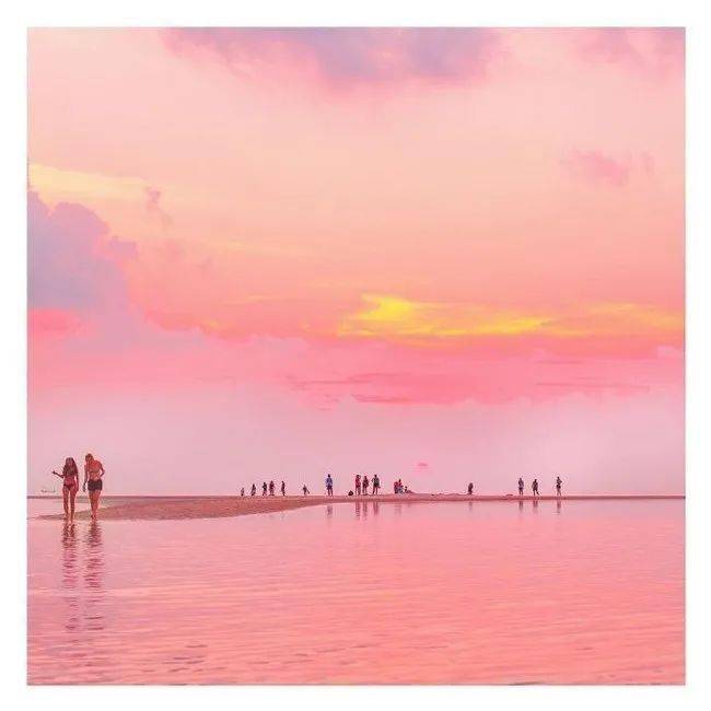 【图片分享】迷幻粉色系沙滩charlotte curd