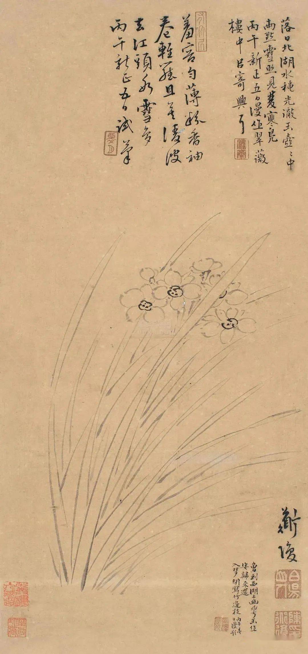 陈淳对沈周的小写意花卉亦是心慕手追,他的花卉画,创立文人写意花鸟