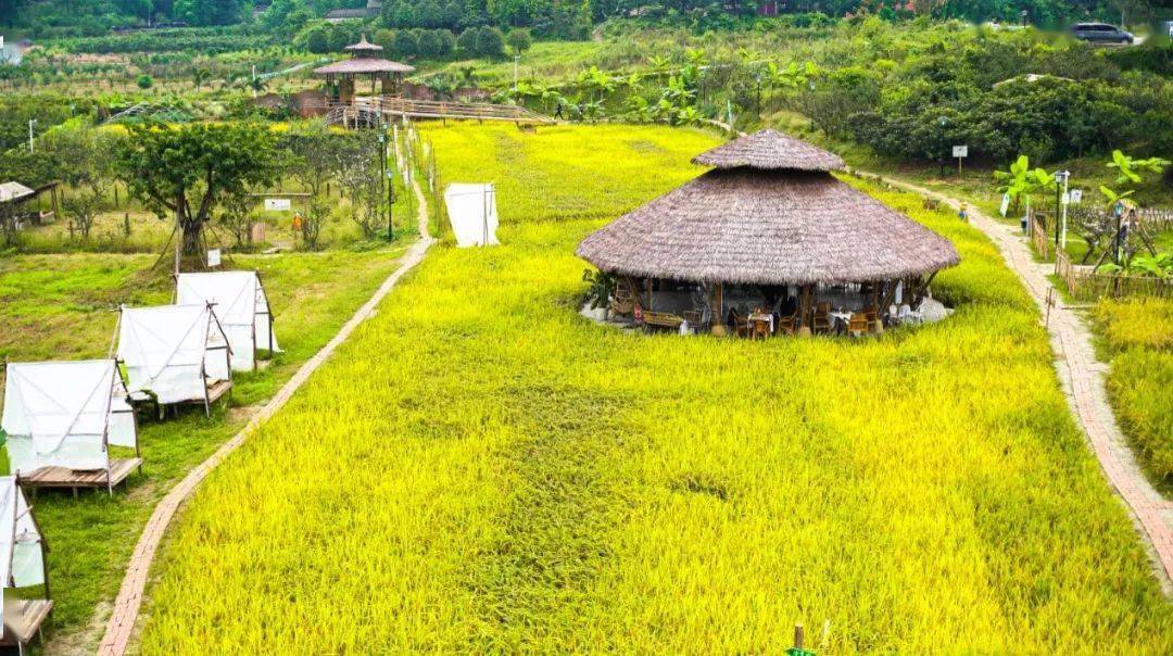 小草垛田野农场(天府新区)-栖肆桃源生活(天府新区)-集趣东华林盘