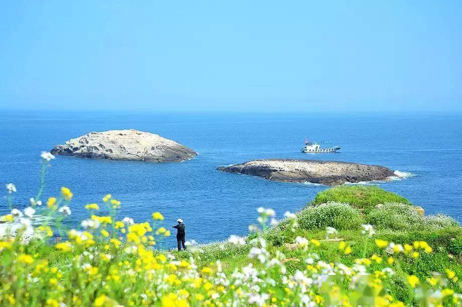 18渔山岛漫山遍野鲜花,华东最美海岛,让我们面朝大海,春暖花开