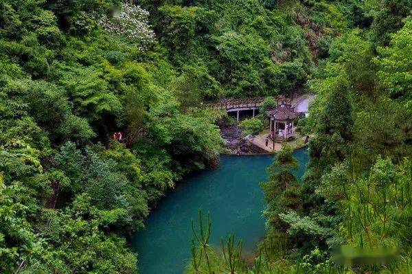 丽水白云山国家森林公园山地赛