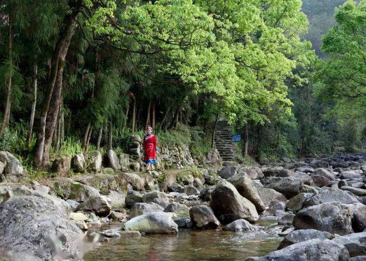 苍南莒溪大峡谷观光栈道春日美照抢鲜看
