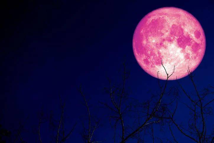 传统上称其为"粉红月亮",这个满月也将是2021年第一个壮观的超级月亮