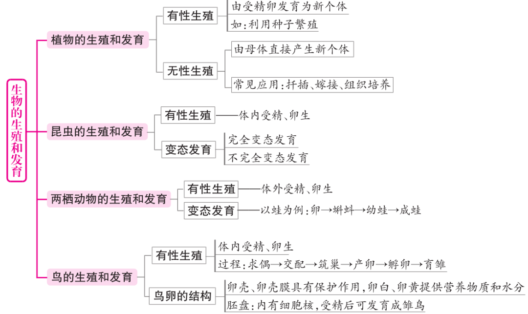 初中生物各章节概念图