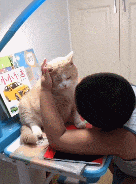 吴京抱猫拍杂志,猫表情写满了老实.