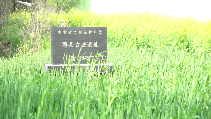 【古韵埇桥】小乔带你探访千年古镇,古村落(五)_蕲县镇