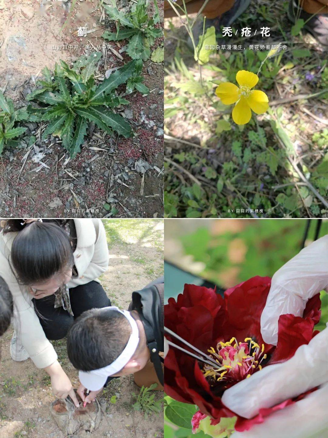 "萌芽科学"工作室的赵猛祥,牛美兴,汪笑梅和王书香四位科学教师成员在