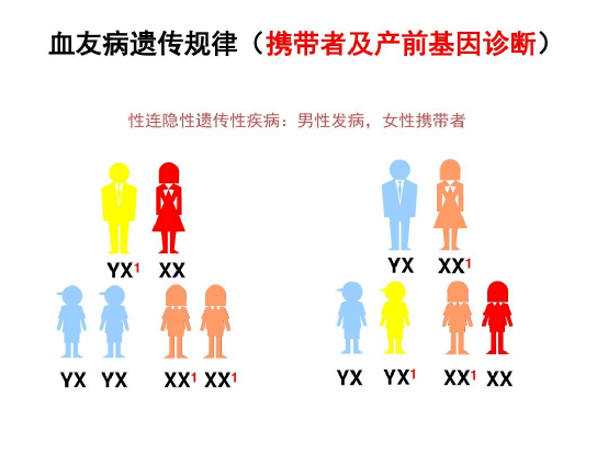 世界血友病日 | 适应变化后疫情时代下让关爱持续