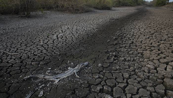 美国总统气候问题特使约翰·克里于2021年4月15—16日在上海举行会谈