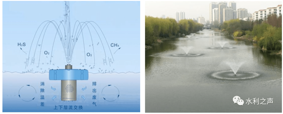 河道曝气示意图生态浮岛及沉水植物