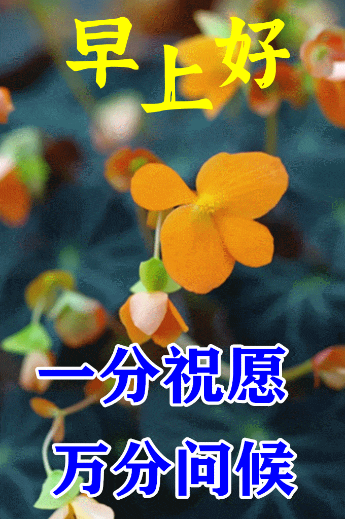 我们应该学着做一个简单的人,不庸人自扰,不浪费时间,早安