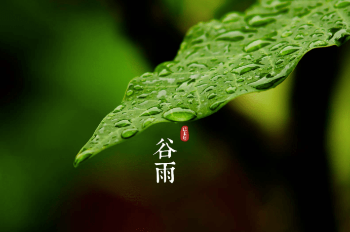 古诗词里的谷雨,寥寥数十字,写得真美