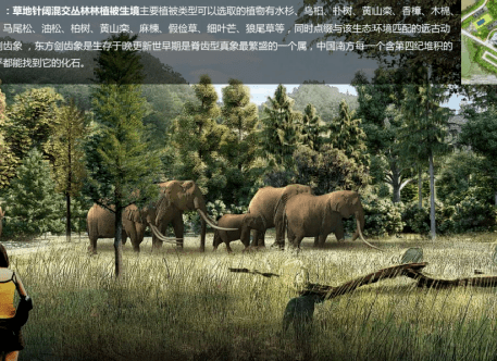 提前探秘三明这里正在建设一个远古生态森林预计7月开放